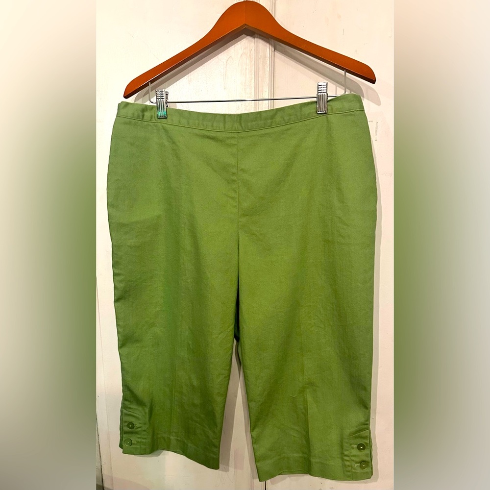 Alfred Dunner cropped pants back stretch 16P
